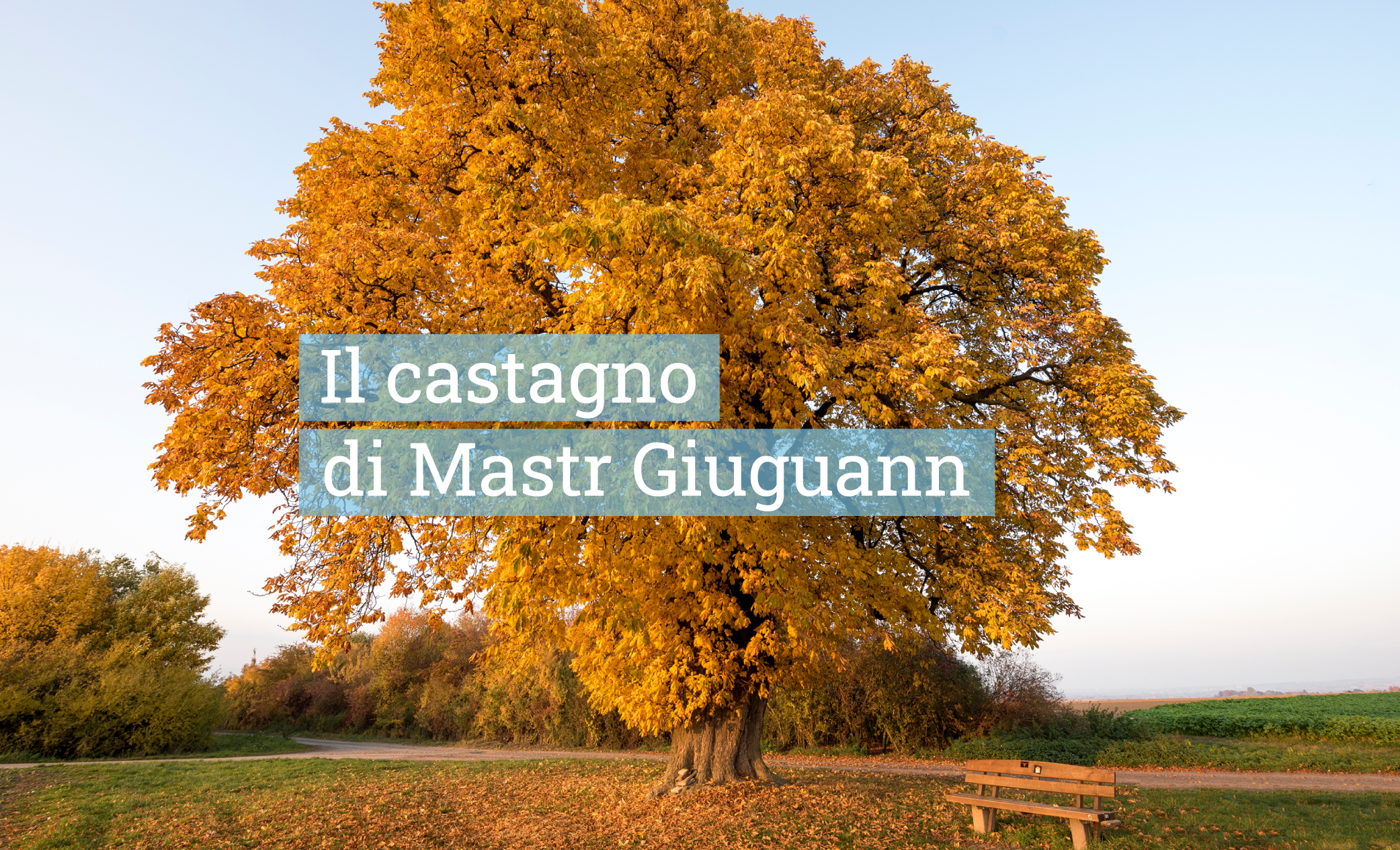 IL-CASTAGNO-DI-MASTR-GIUGUANN_mobile